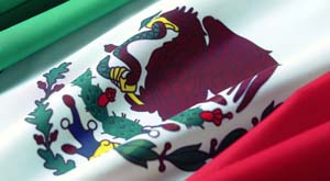 VIVA MÉXICO!!!!